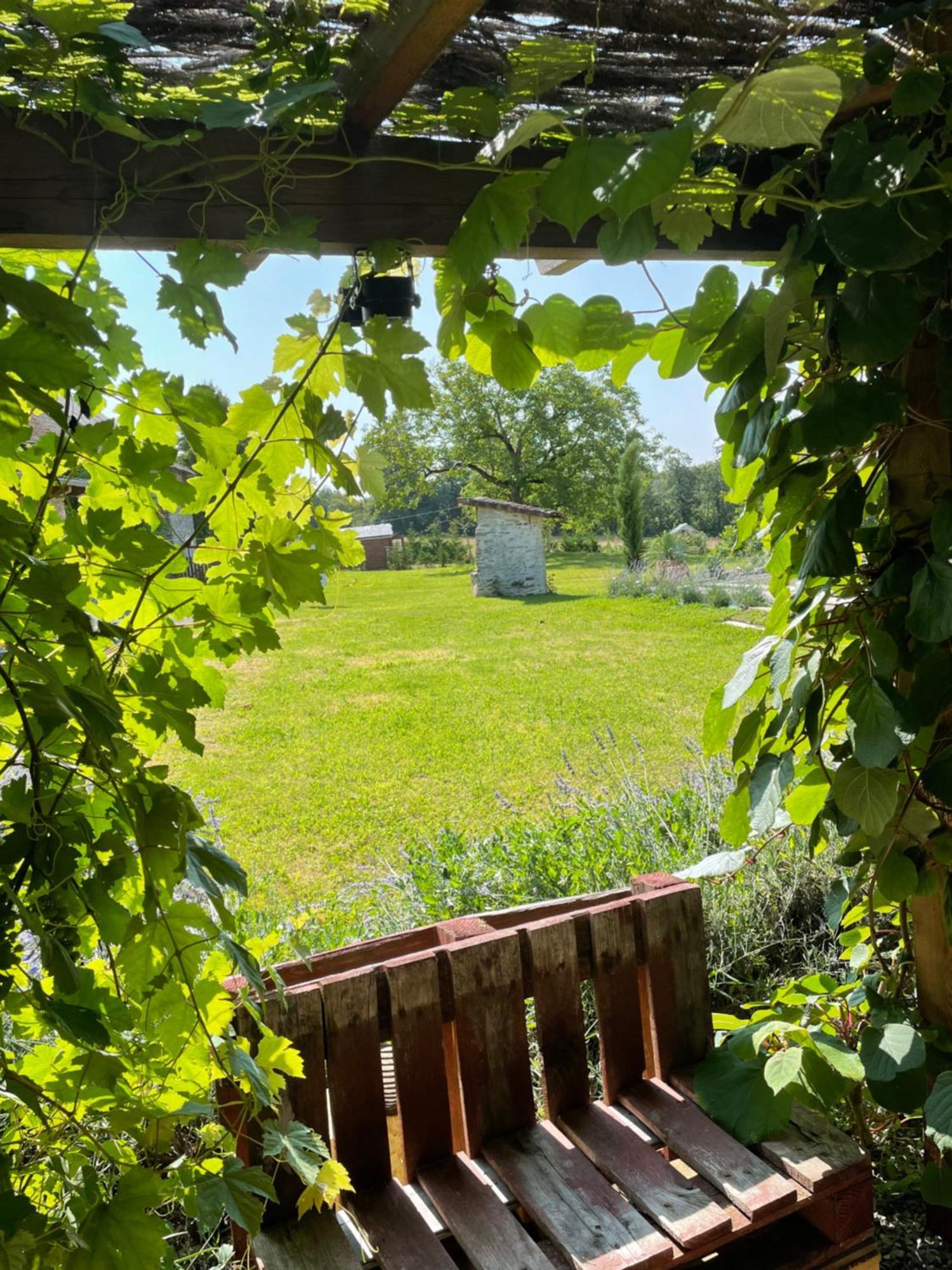 Delightful French Rustic Studio Jumilhac-le-Grand Εξωτερικό φωτογραφία