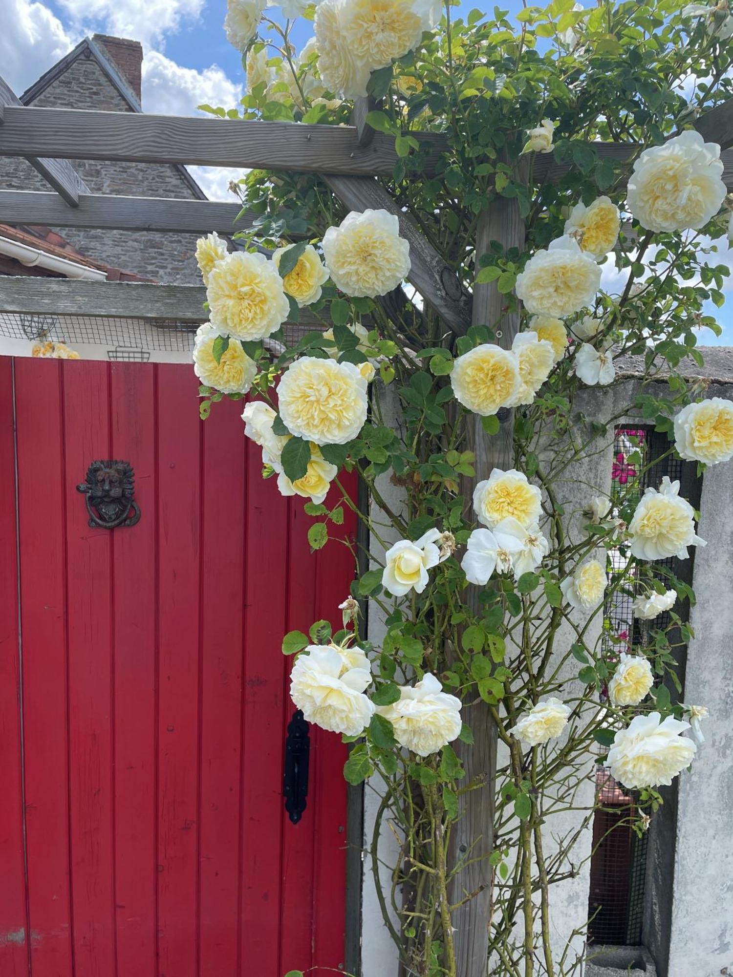 Delightful French Rustic Studio Jumilhac-le-Grand Εξωτερικό φωτογραφία