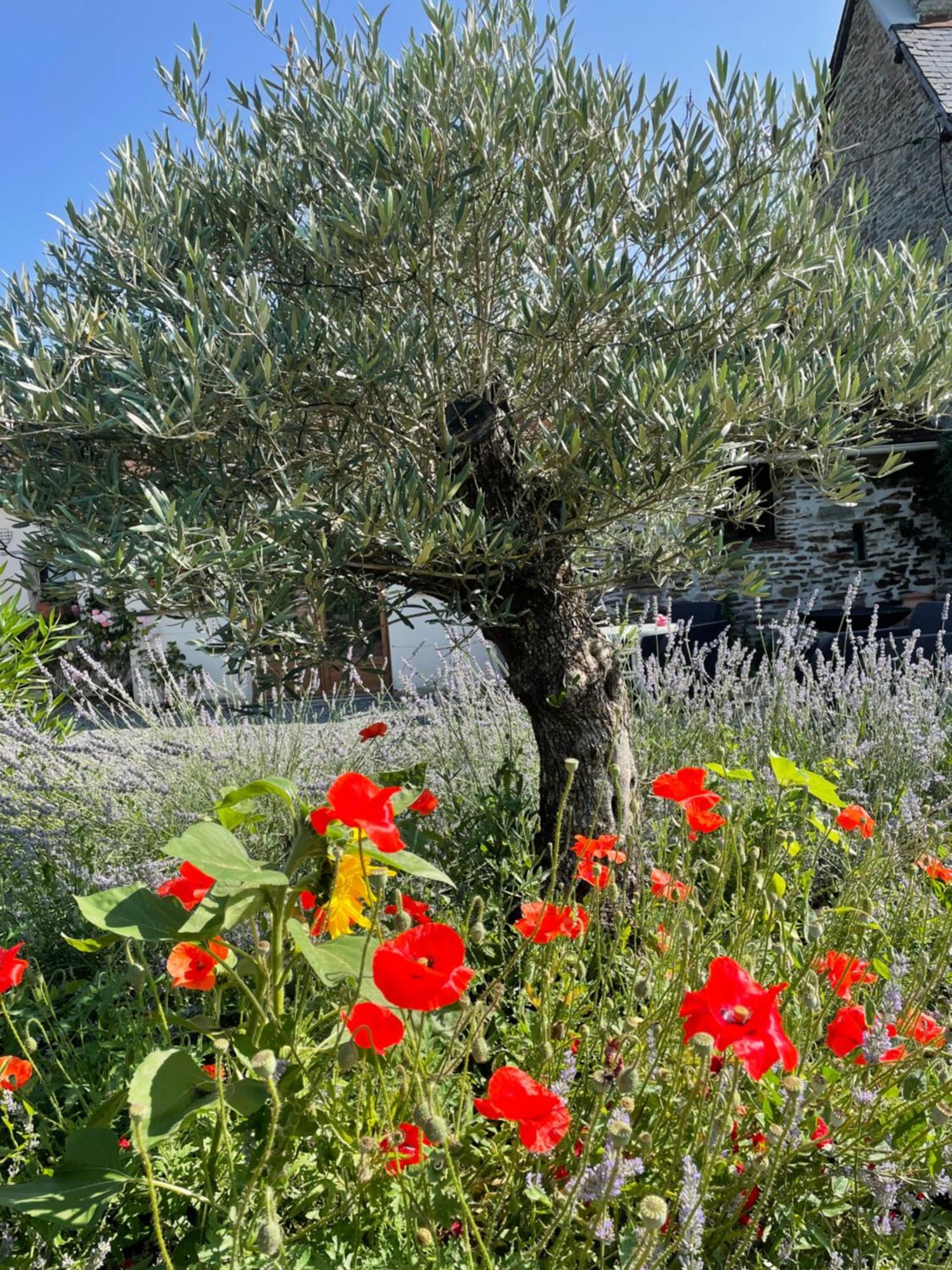 Delightful French Rustic Studio Jumilhac-le-Grand Εξωτερικό φωτογραφία